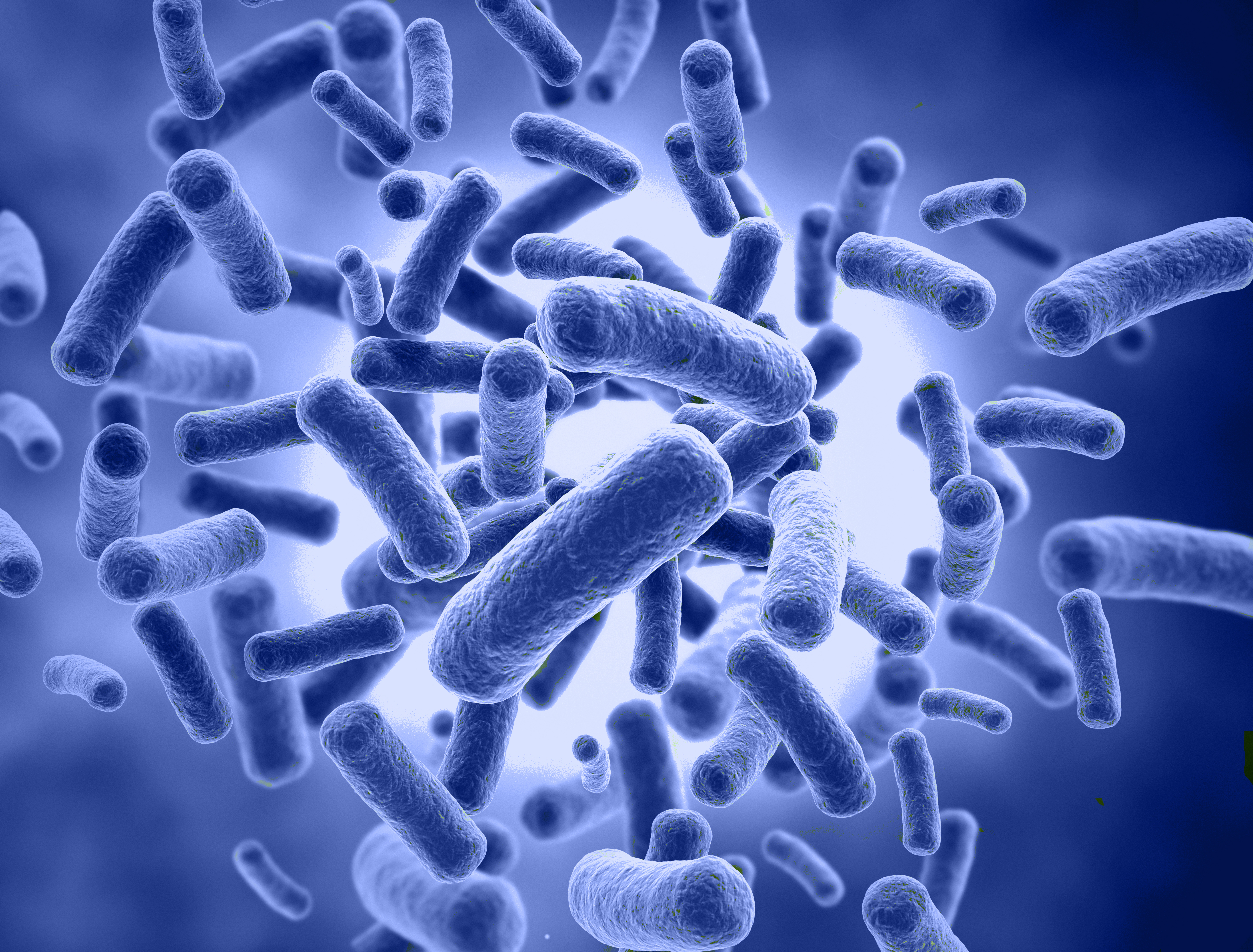 Microbiome Analysis – Are You Aware Of All The Applications?