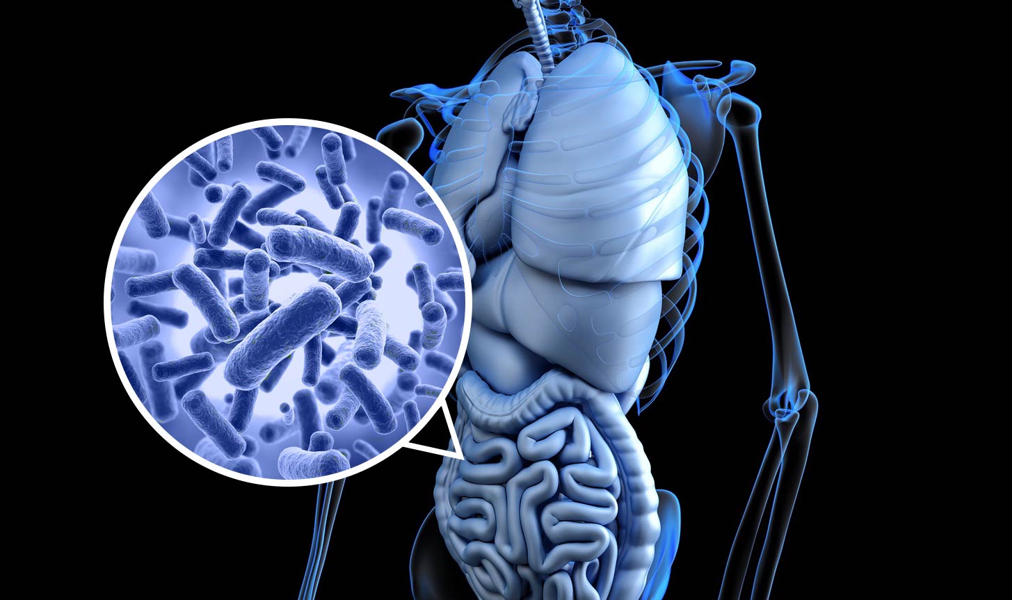 World Microbiome Day 2019 – In the Matter of Faecal Transplants for a Healthy Microbiome