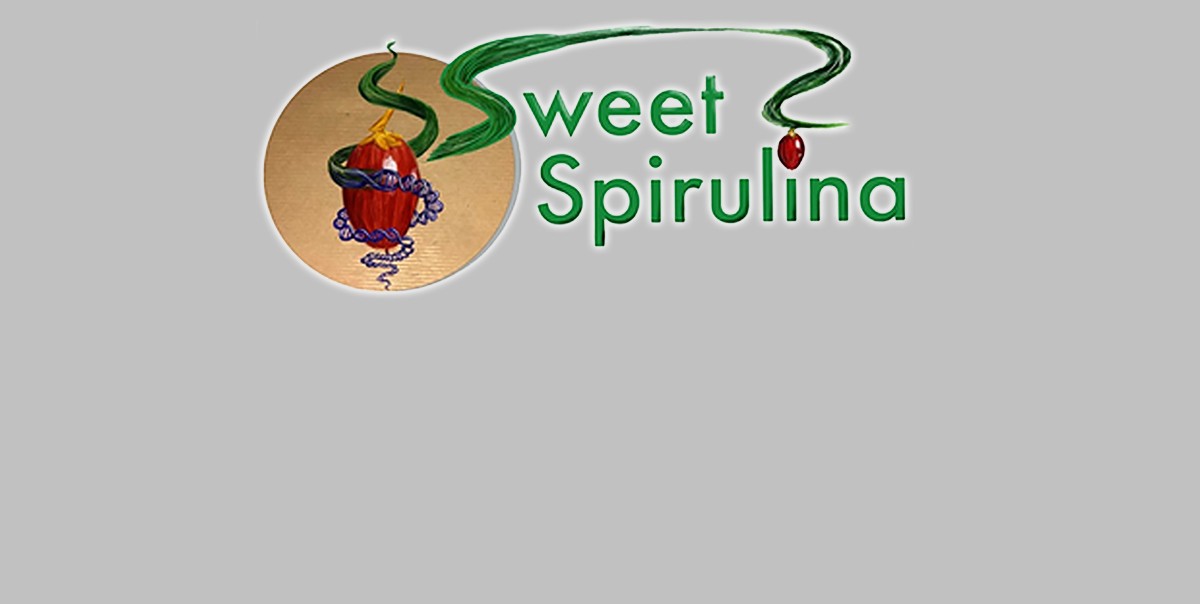 Sweet Dreams: Healthy and Sweet Food By Bioengineering Spirulina