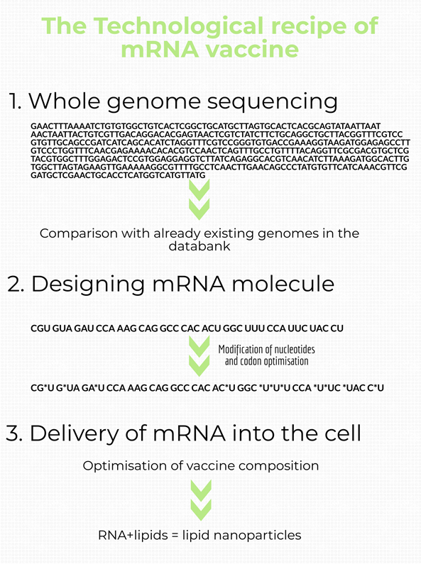 Introduction of mRNA vaccines