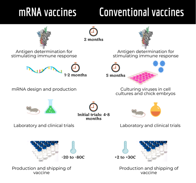 Difference between mRNA vaccines and conventional vaccines