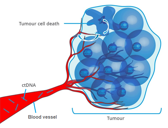 NGS in oncology: Liquid Biopsy