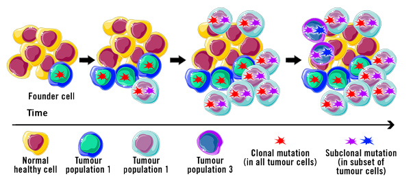 Heterogeneity: The impact of tumour variations