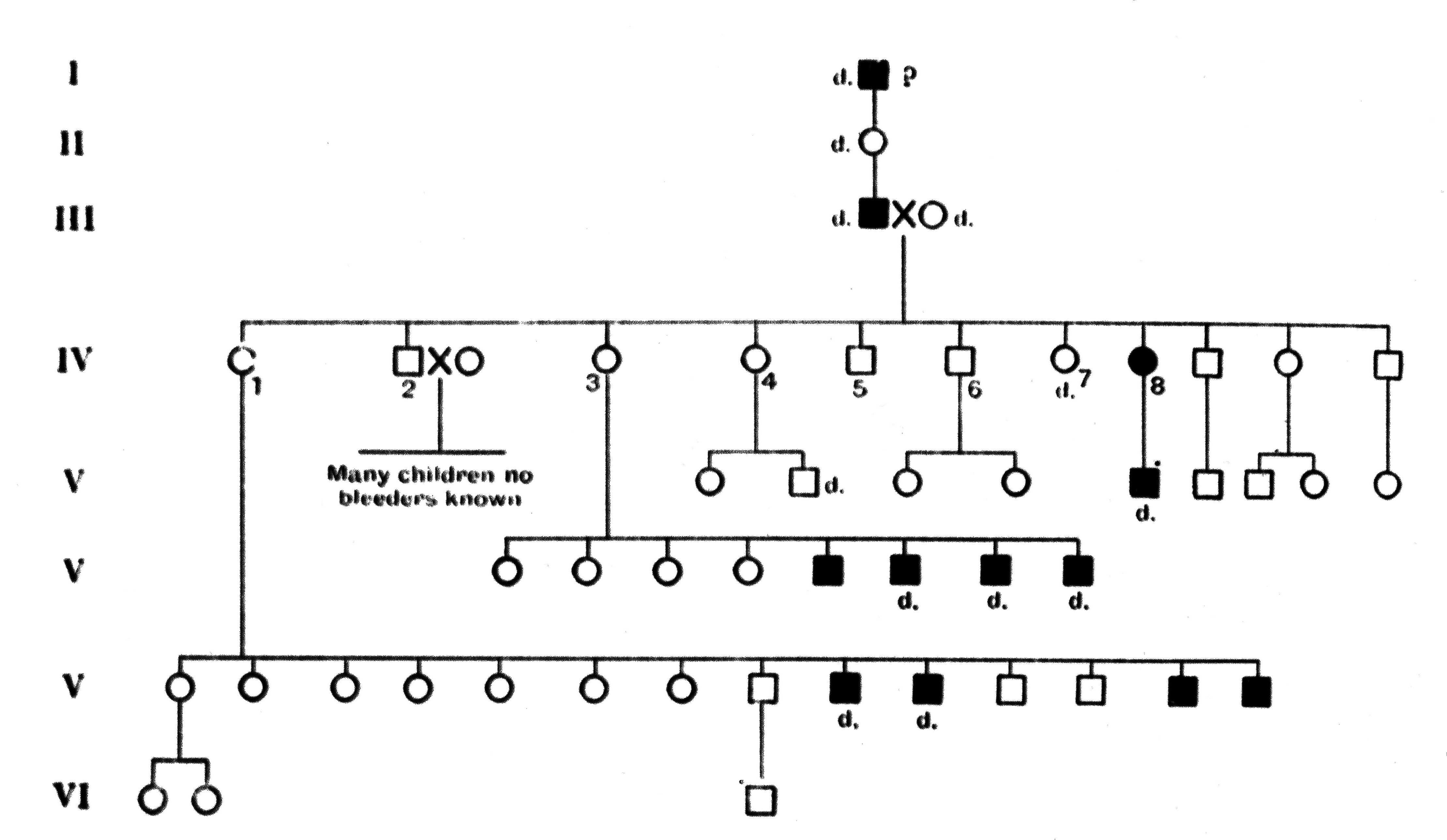 Pedigree of Haemophilia