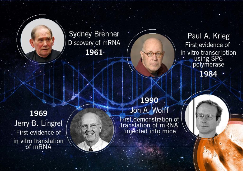 the-history-of-mrna-applications-the-dna-universe-blog