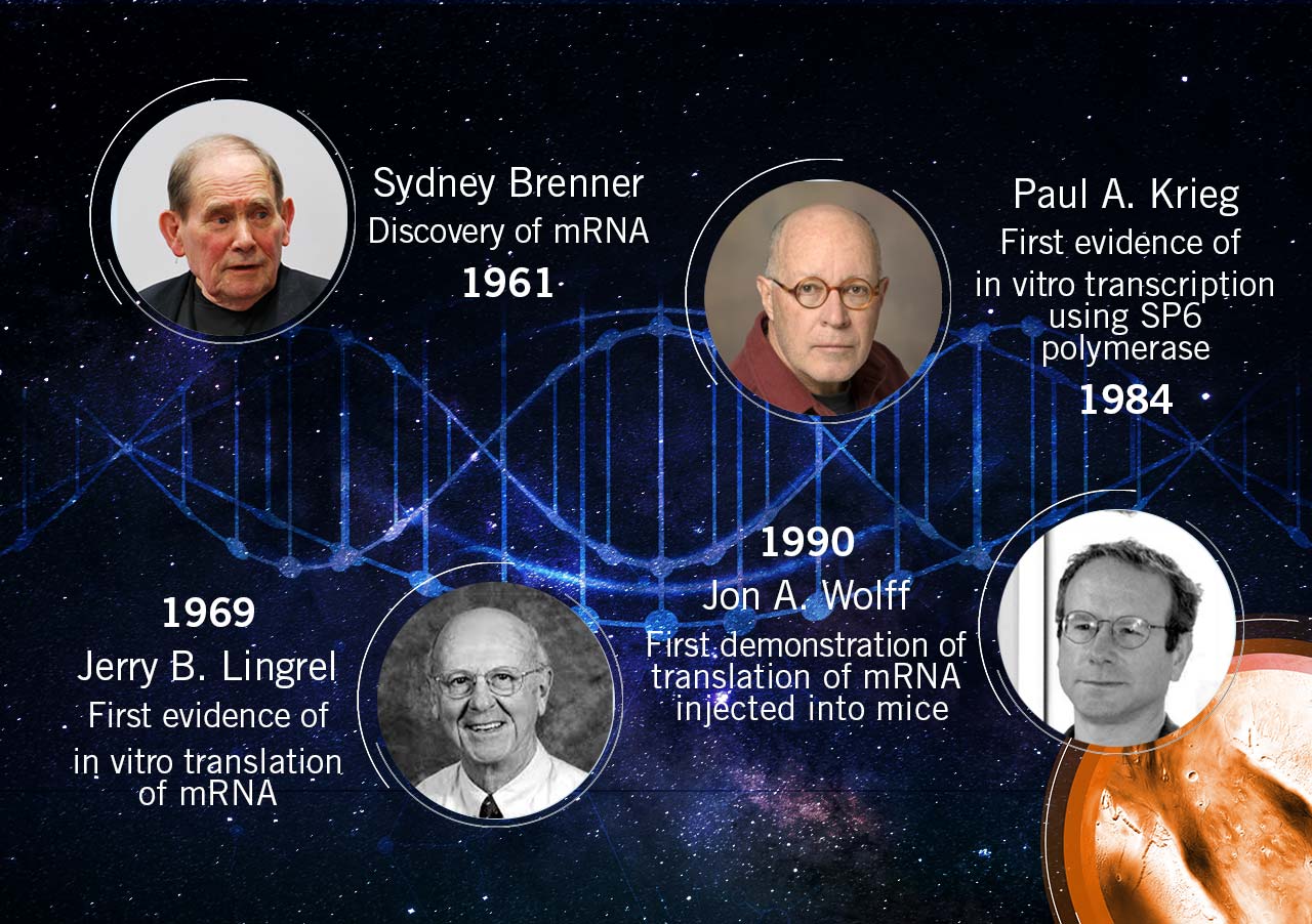 History of mRNA applications: 1961-1984