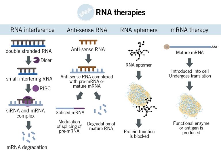 What Is The Future Of MRNA Application? Read More