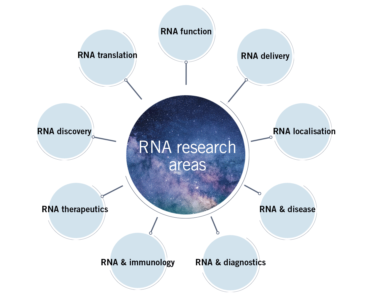 RNA research areas