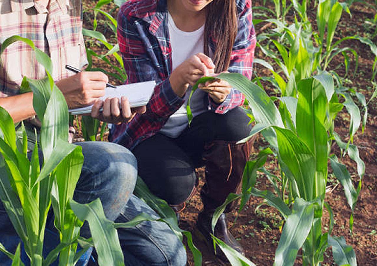 Fieldwork in Biology