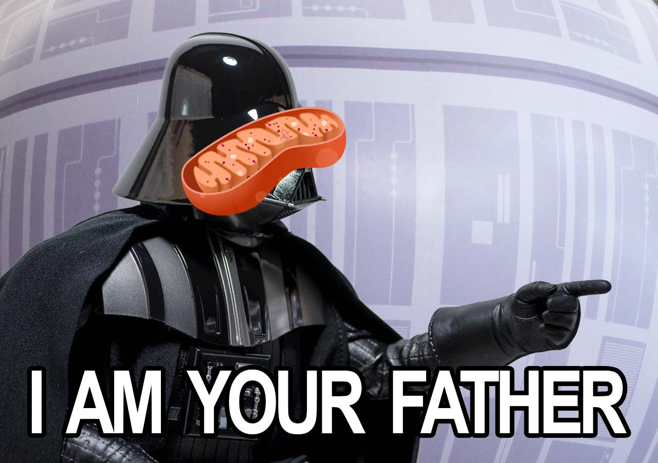 Vader with a mitochondrion