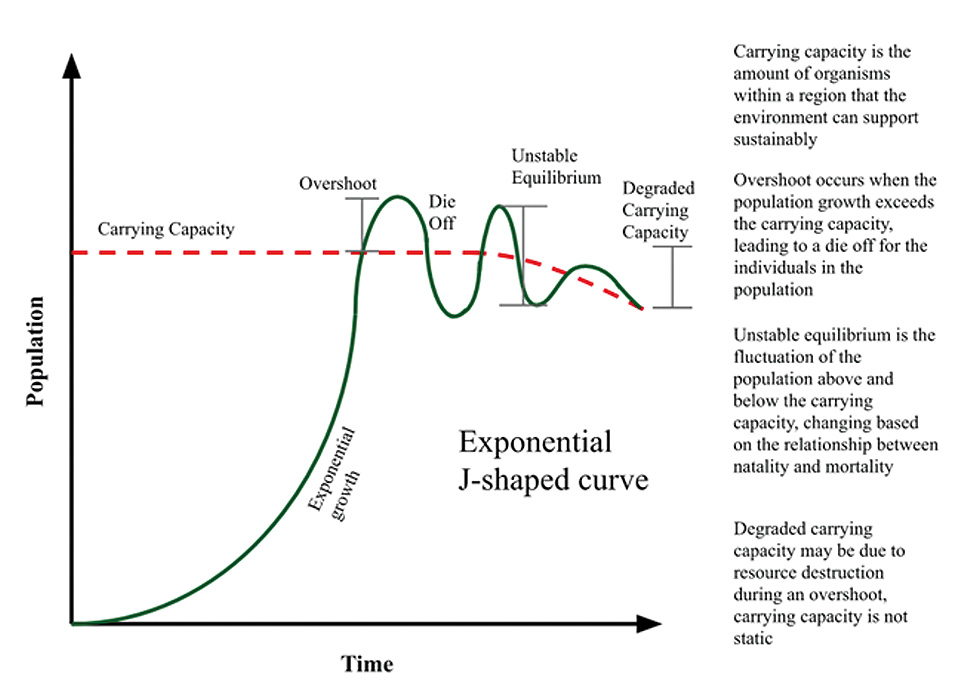 Graphical representation of environment destruction caused by overpopulation