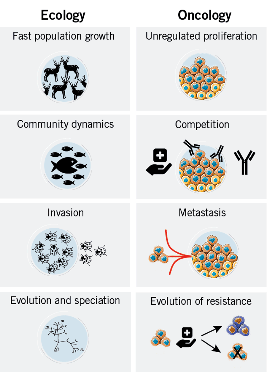 Encology vs Oncology