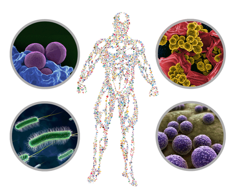 Cancer diagnostics by bacteria and microbiome