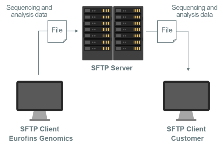 NGS platforms Get NGS done 50% faster with Eurofins Genomics