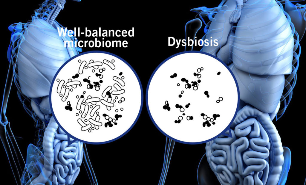 Home genomics testing for drug, nutrient and vitamin metabolisms