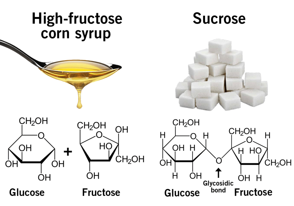 In Defence Of Sugar How Sugar Drove Human Evolution