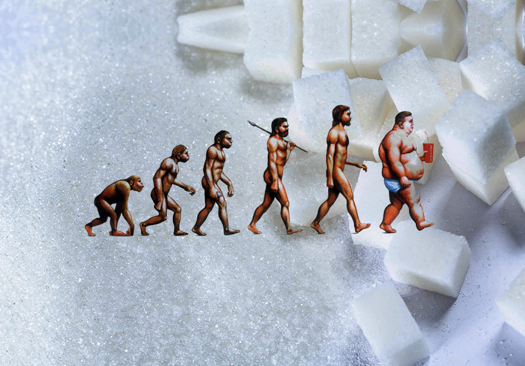 In Defence Of Sugar – How Sugar Drove Human Evolution