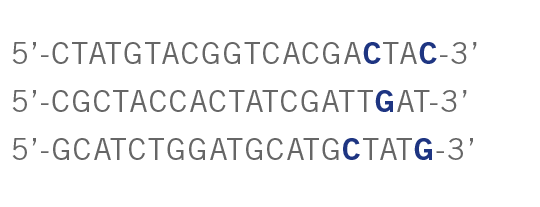 Primer design guide - 5 tips for best PCR results