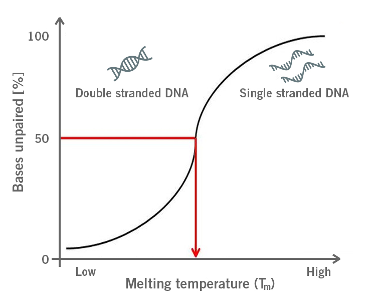 Primer design guide 5 tips for best PCR results