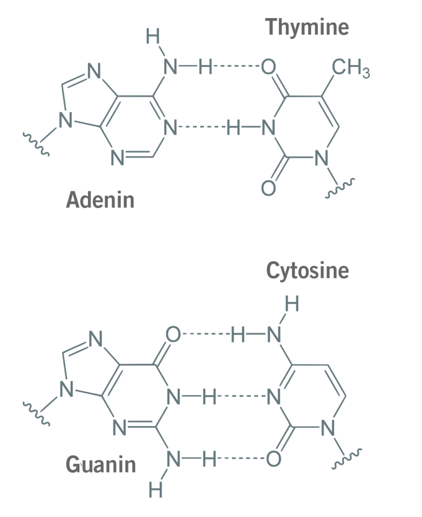 Primer design guide 5 tips for best PCR results