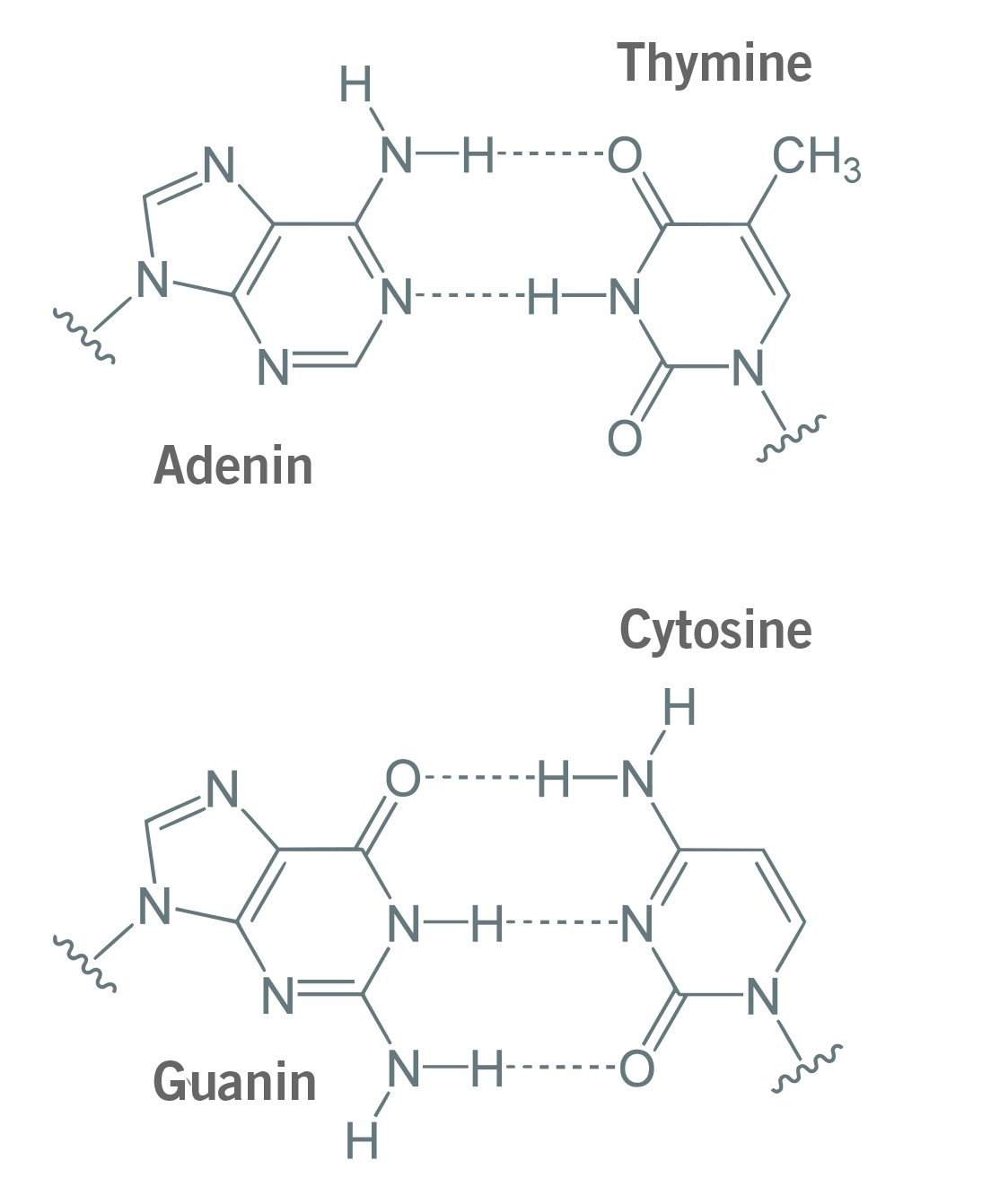 Primer design guide 5 tips for best PCR results