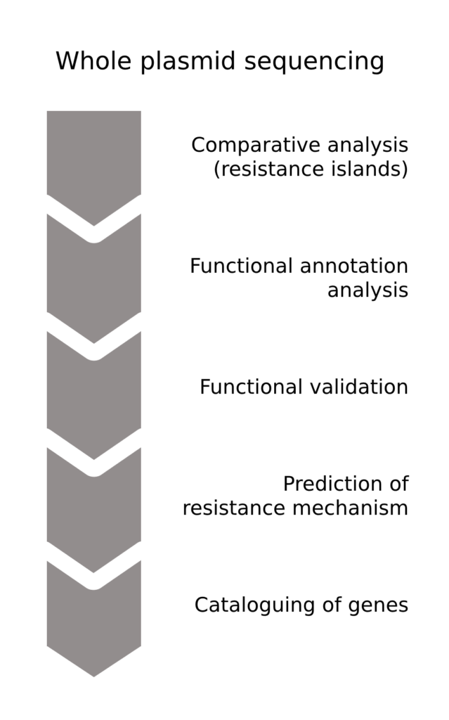 Whole plasmid sequencing in the fight against antibiotic resistance